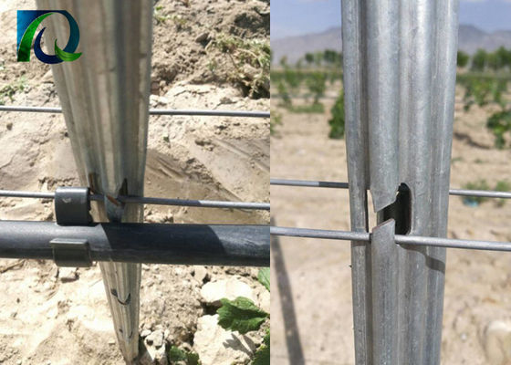 مكافحة الصدأ 1.6-3.0 مم سلك 54x30mm المشاركات تعريشة كرم