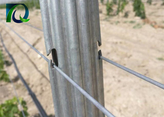 المشاركات المعدنية الصلب 1.8 متر كرم تعريشة لأسلاك 1.6-3.0 مم